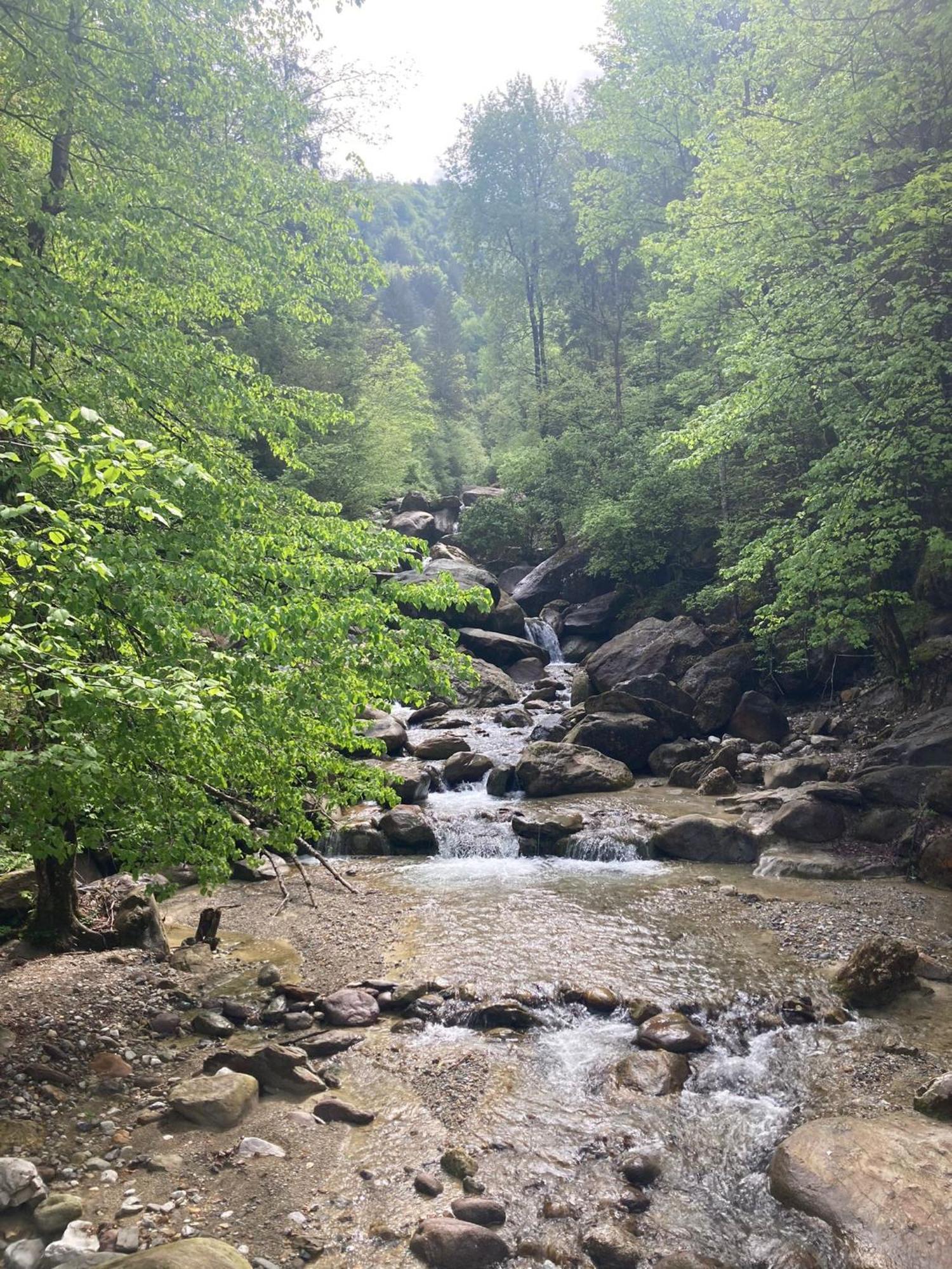 Ortighera Monolocale Relax Sulla Ciclabile Lenna Zewnętrze zdjęcie