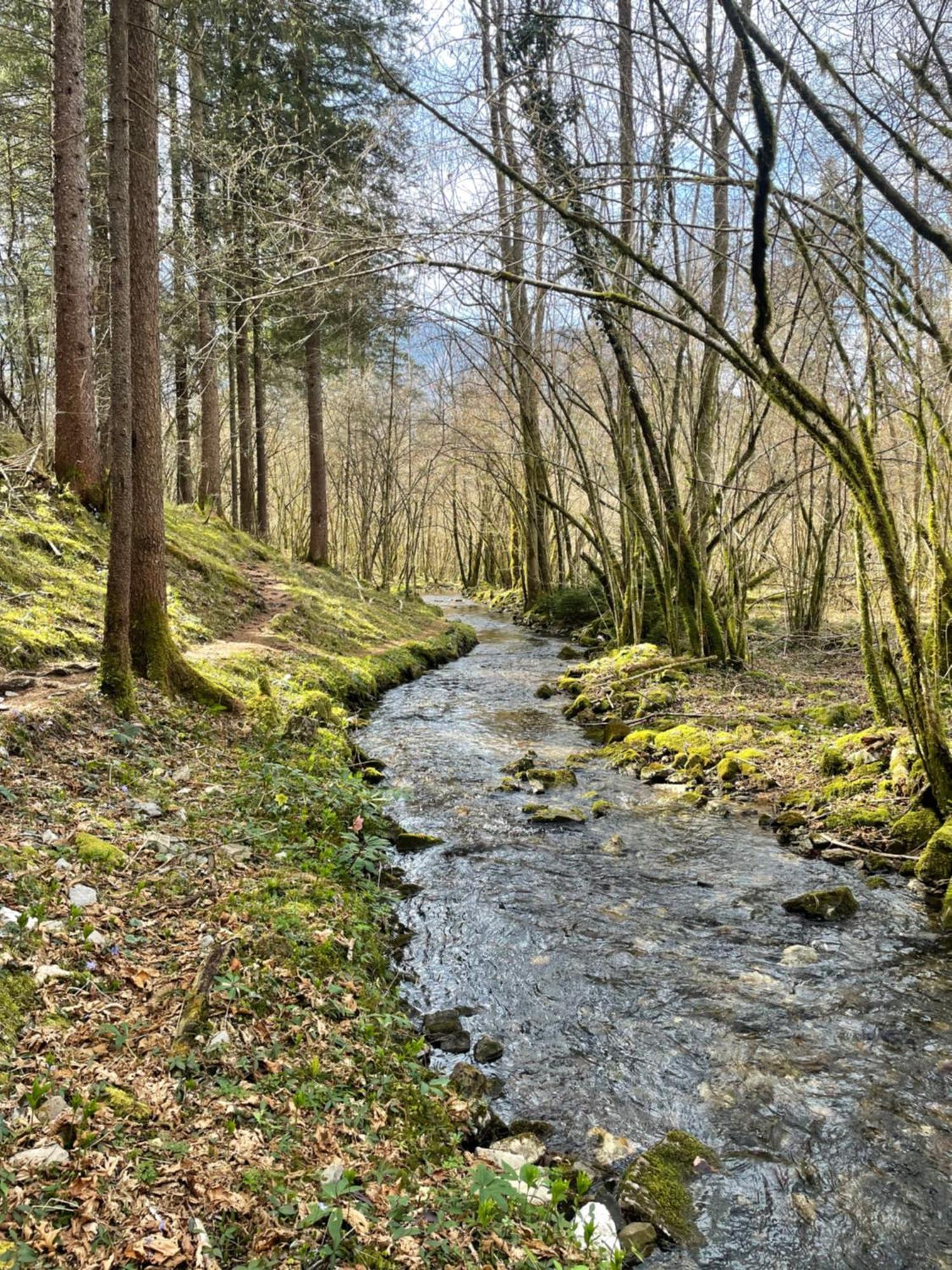 Ortighera Monolocale Relax Sulla Ciclabile Lenna Zewnętrze zdjęcie