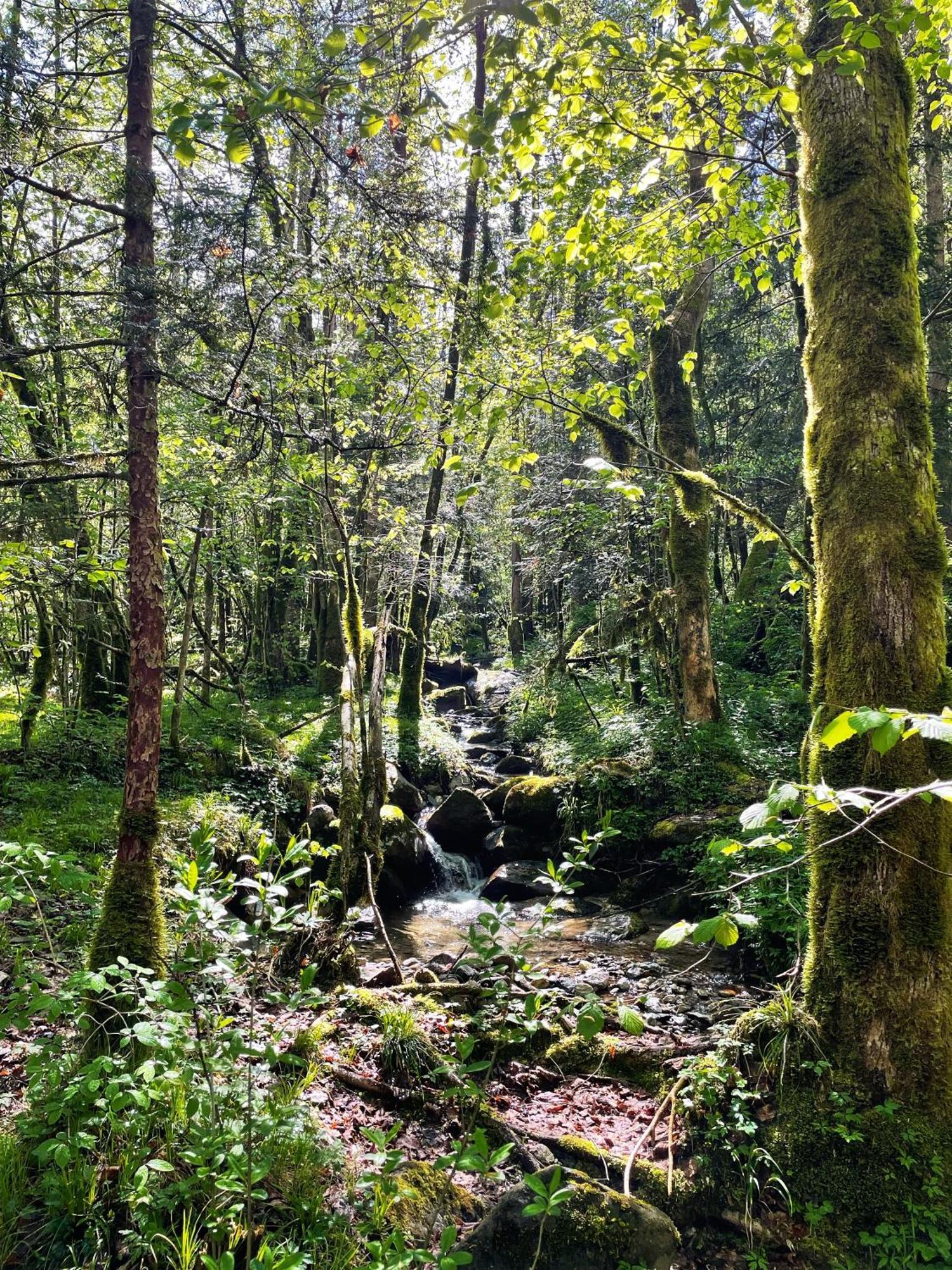 Ortighera Monolocale Relax Sulla Ciclabile Lenna Zewnętrze zdjęcie